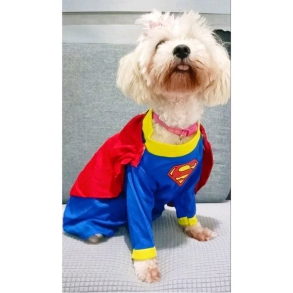 Pet Super Hero Costume - Picture 4 of 4